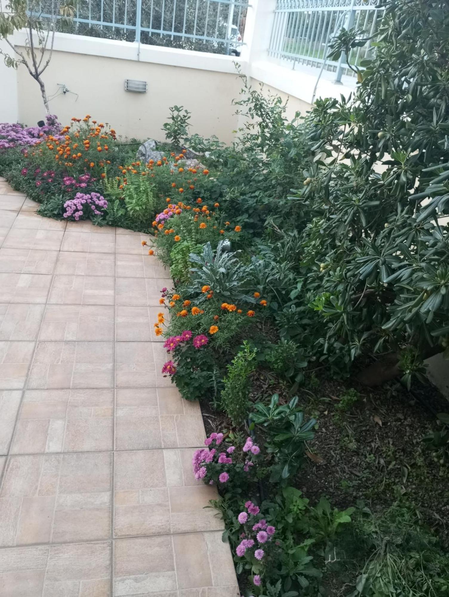 Dora'S Home With Garden 沃洛斯 外观 照片